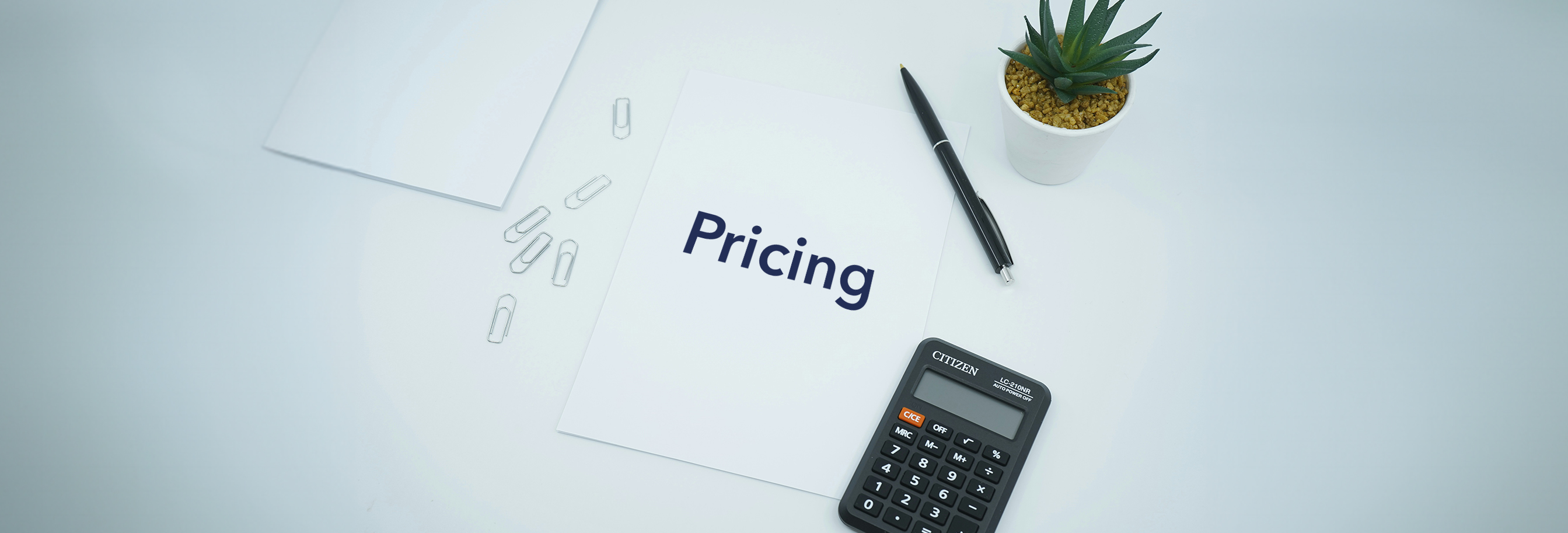 Pricing banner 2
