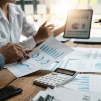hr maturity analysis (1)